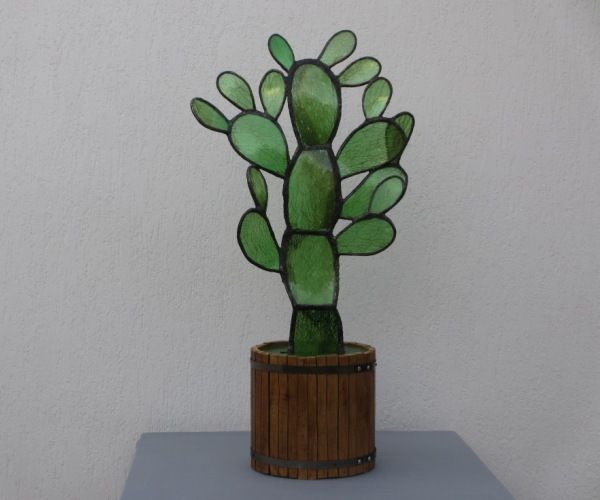 Fichi d'India, Cactus fig