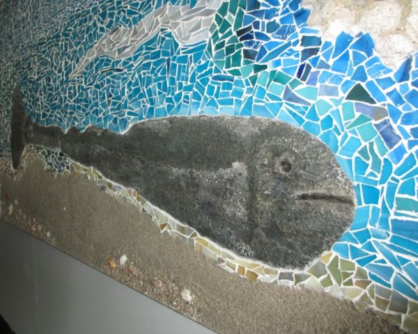 Fine di un pesce