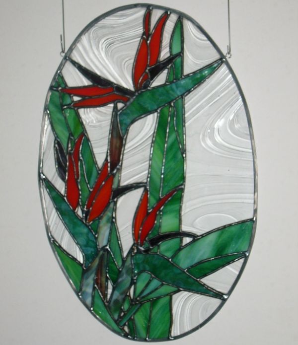 Strelitzia, 
