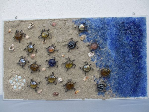 Tartarughe marine, 
