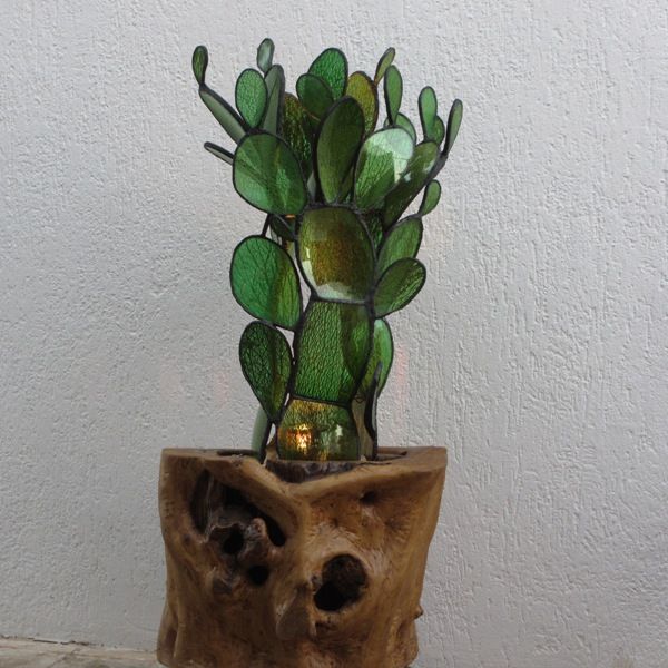 Tronco con Fichi d'India 1